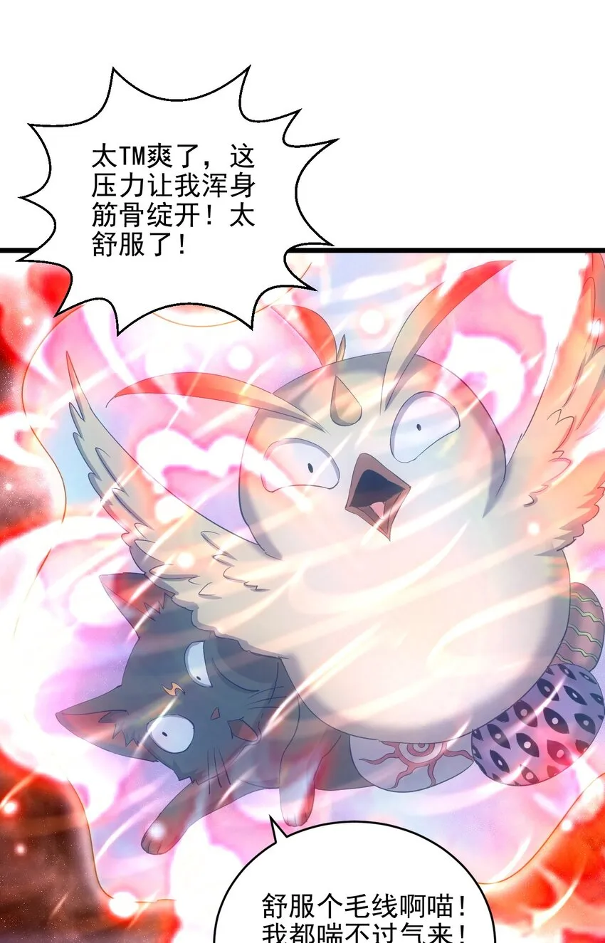 088 猪脸肿不肿？ 第4页