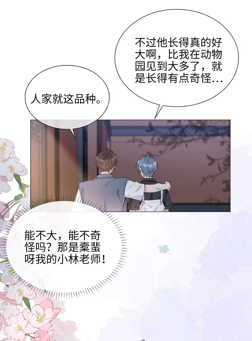 024 爱情的秘密 第40页