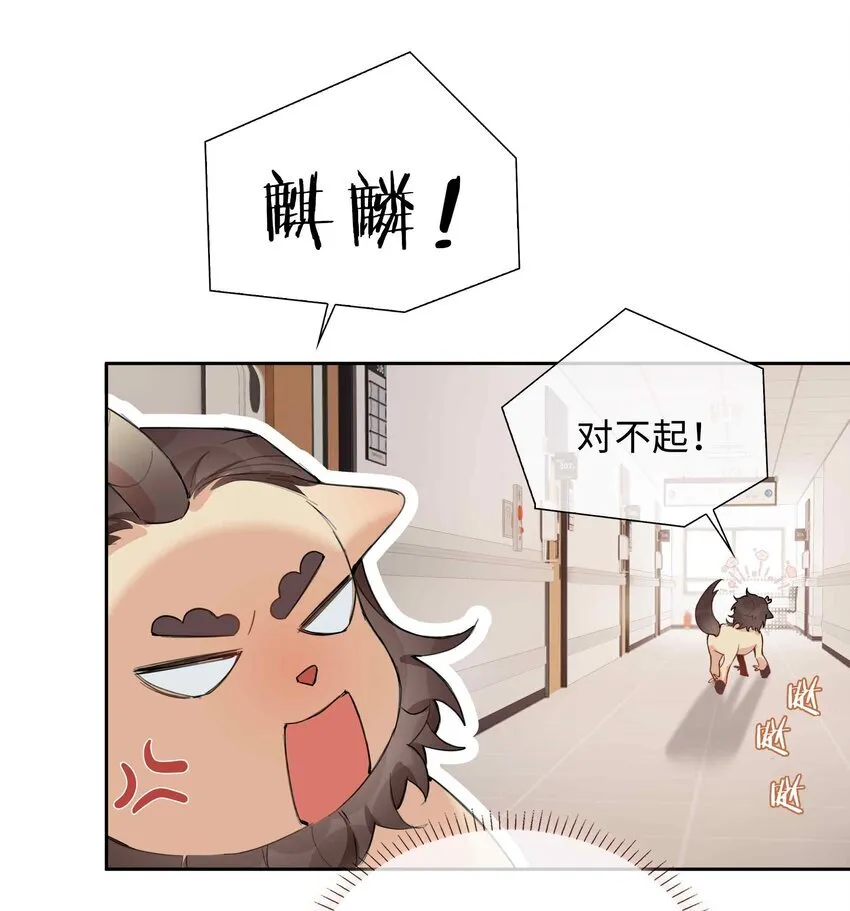 第94话 你是超猛的龙血树！ 第14页