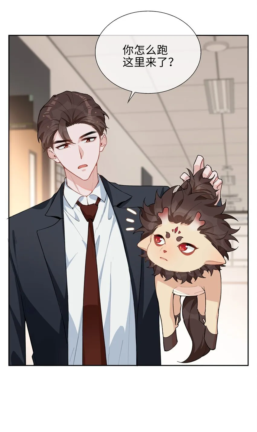 第94话 你是超猛的龙血树！ 第19页