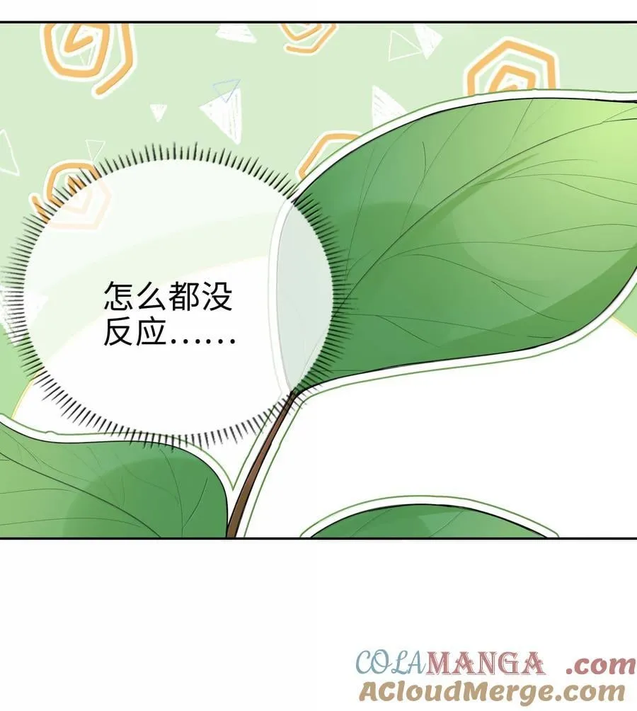 第112话 以后你就是麒麟的龙血树了 第15页