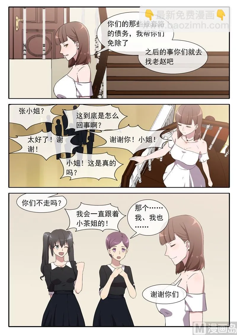 茶主 第3页