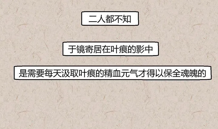 中秋节：月下疏影客 第39页