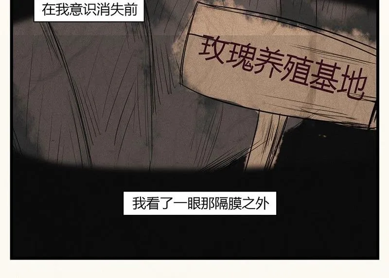 情人节：玫瑰恋人 第38页