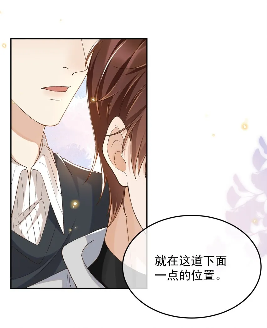 025 敬你的好看 第3页