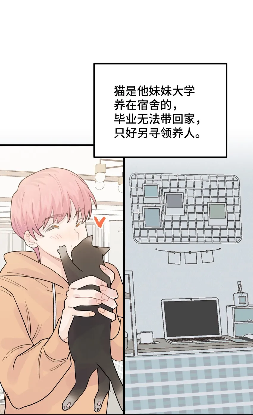 047 是谁做的？ 第4页