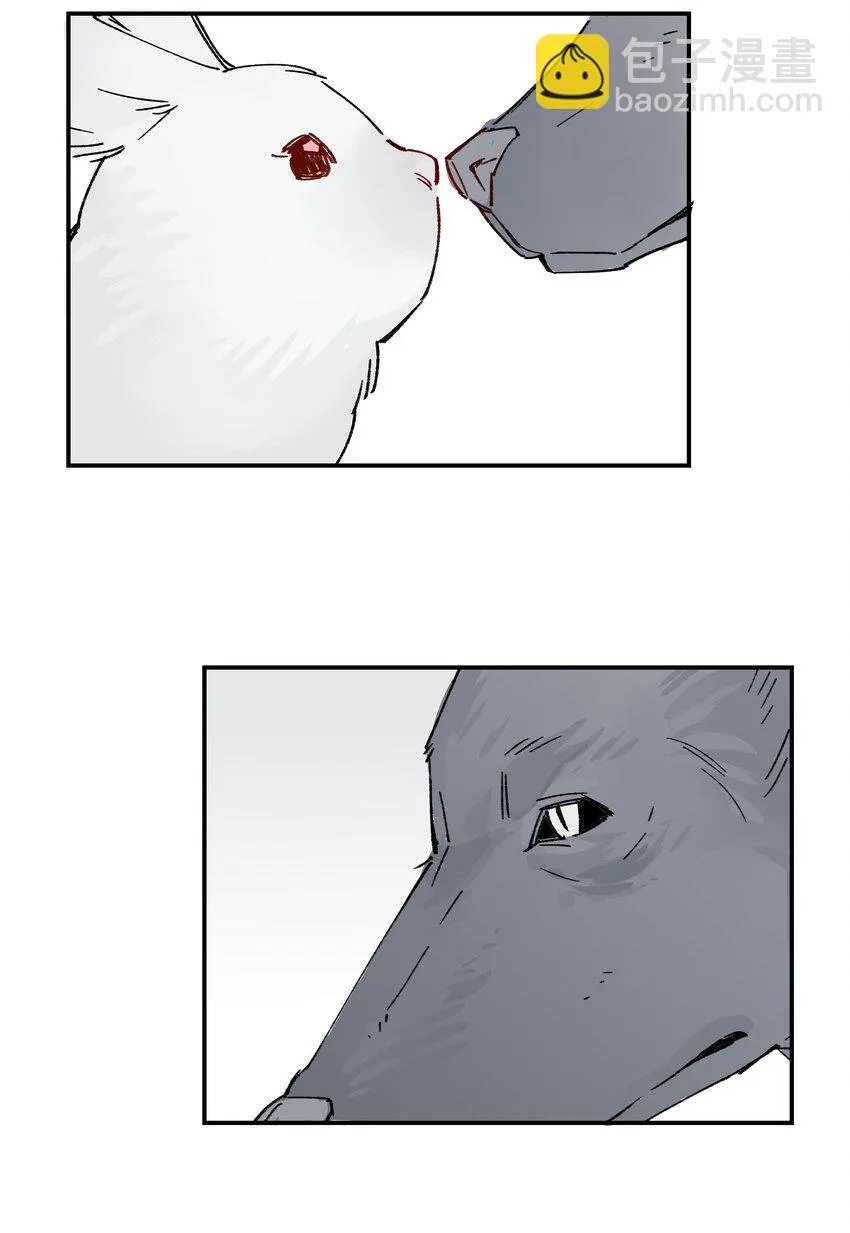 032 狼与兔 第31页