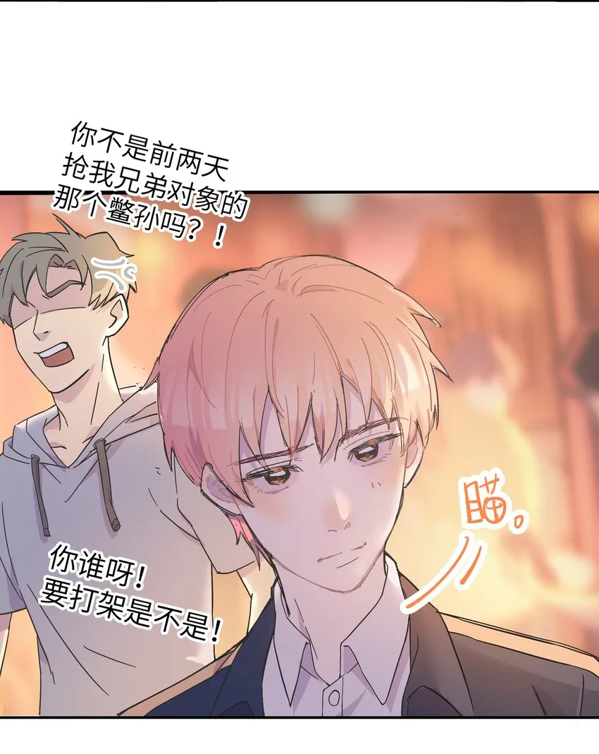 003 我又来了 第15页