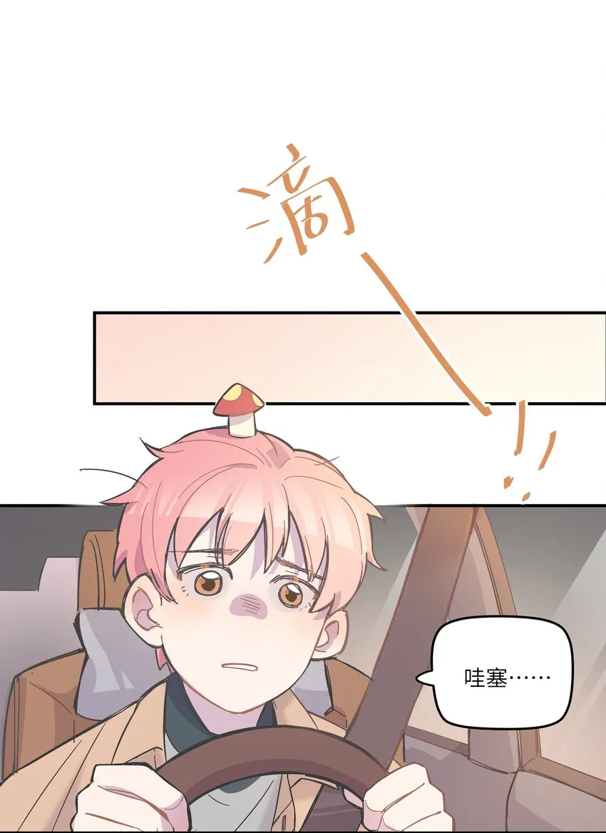 003 我又来了 第37页