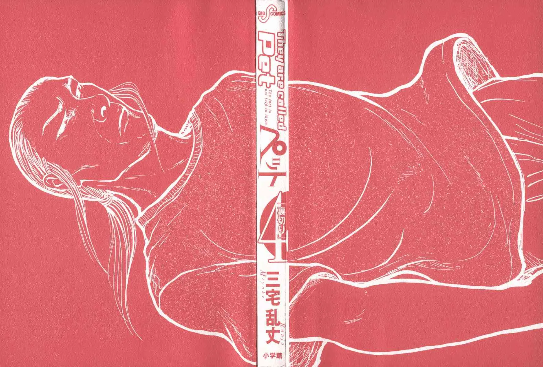 30话 第3页