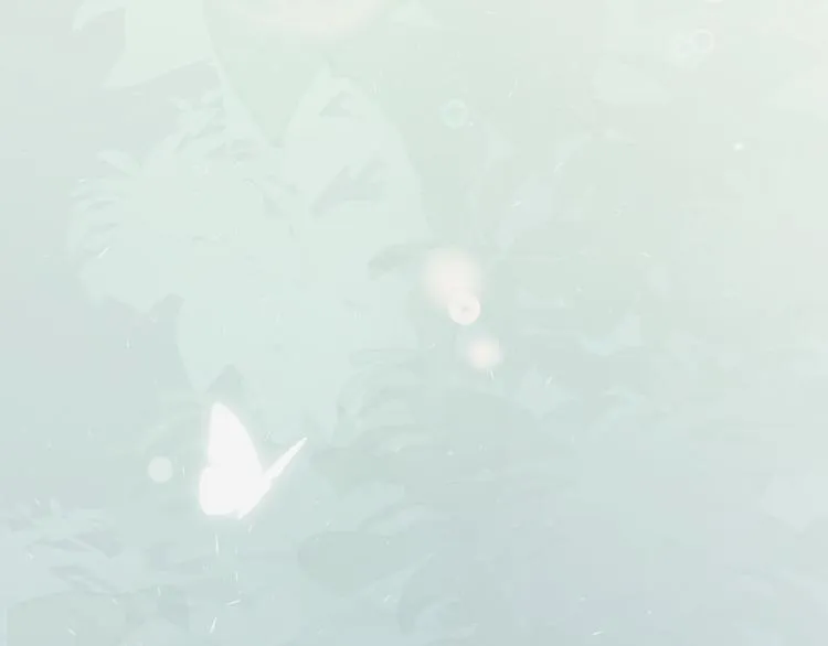 第33话 化解矛盾 第13页