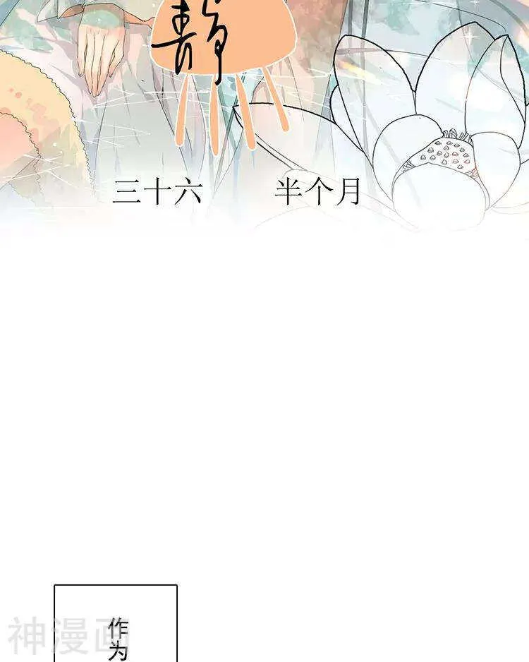 第37话 我只要站在身后就好 第2页