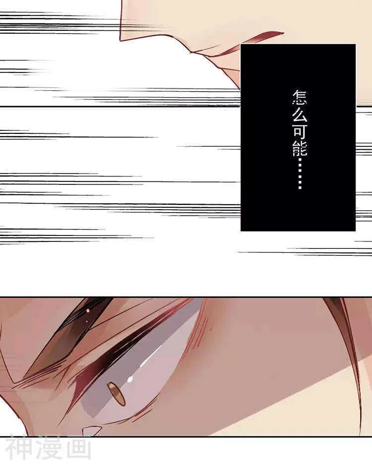 第41话 一直很清楚 第12页