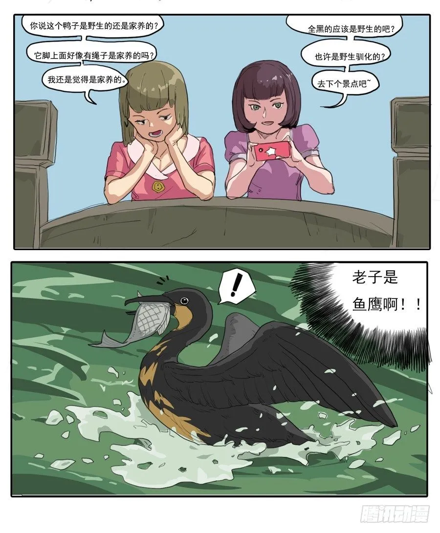 001野鸭子 第2页