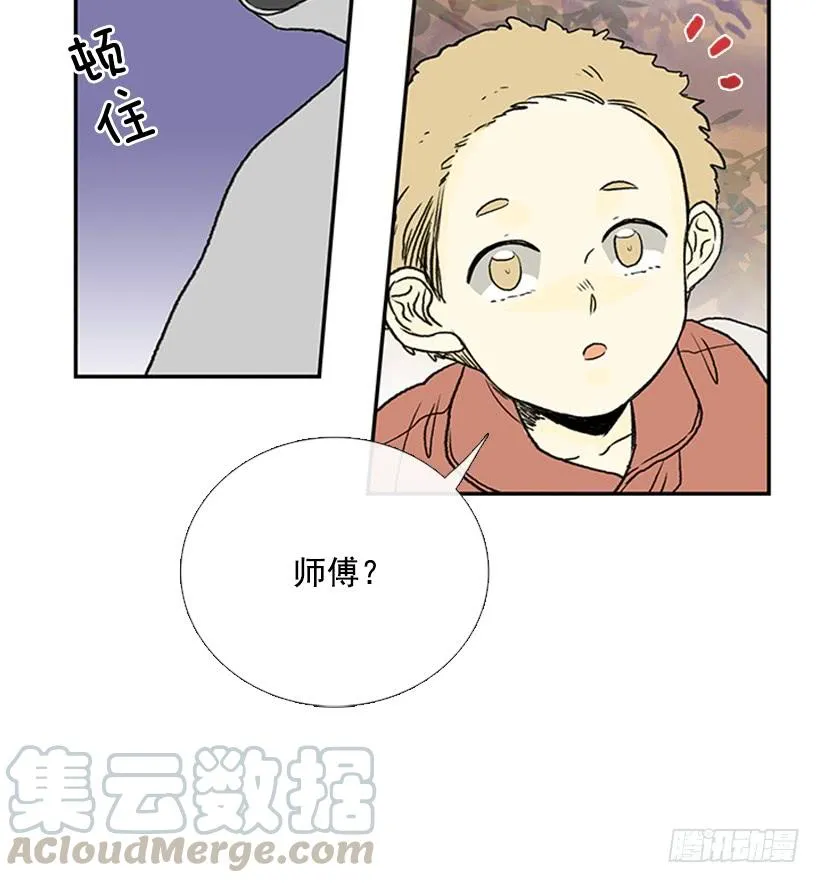 伐毛洗髓 第29页