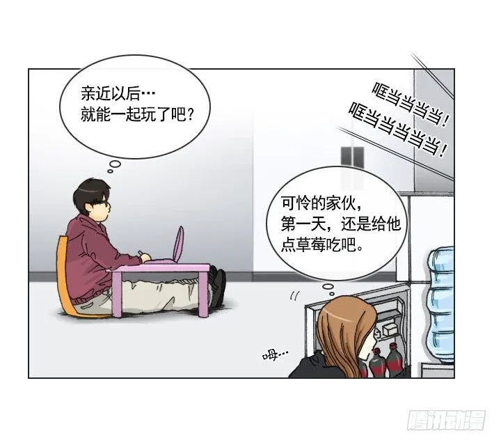 胡萝卜汁的陷阱 第11页