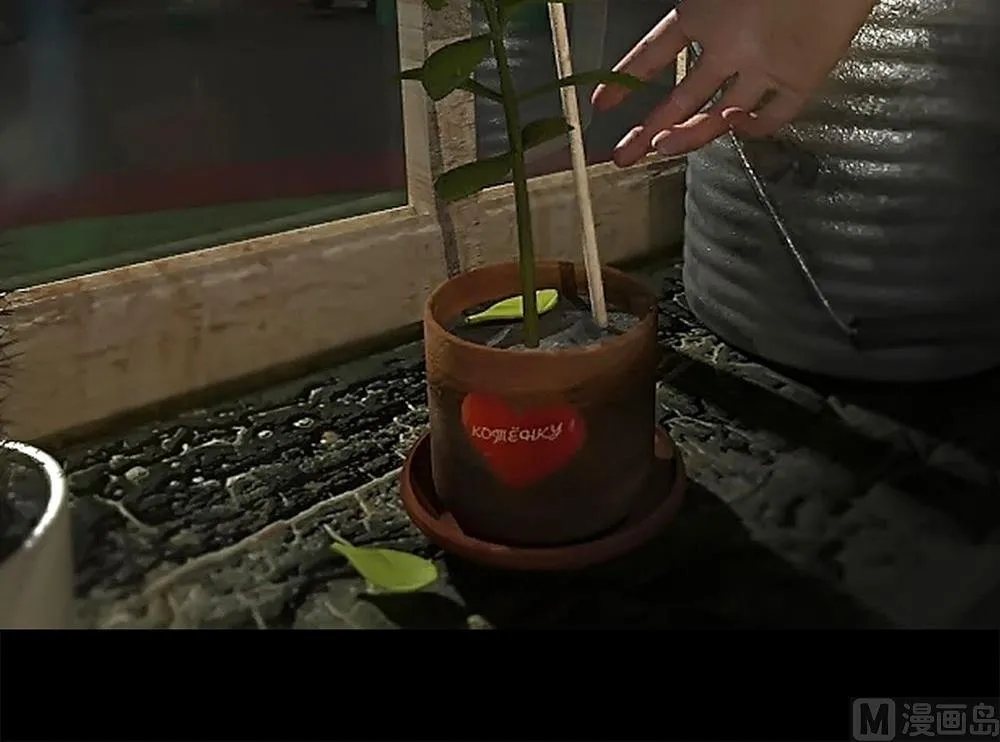 梦魇 第12页