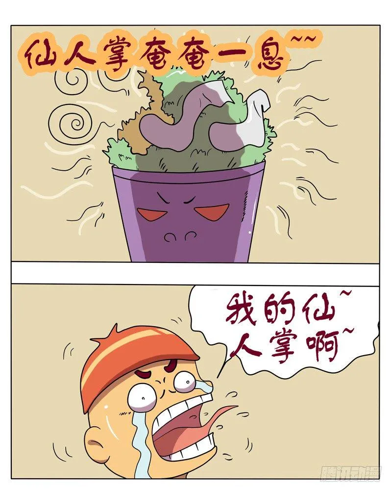 可怜的仙人掌 第5页