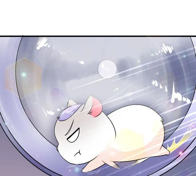 第33话 仓鼠大胜 第47页