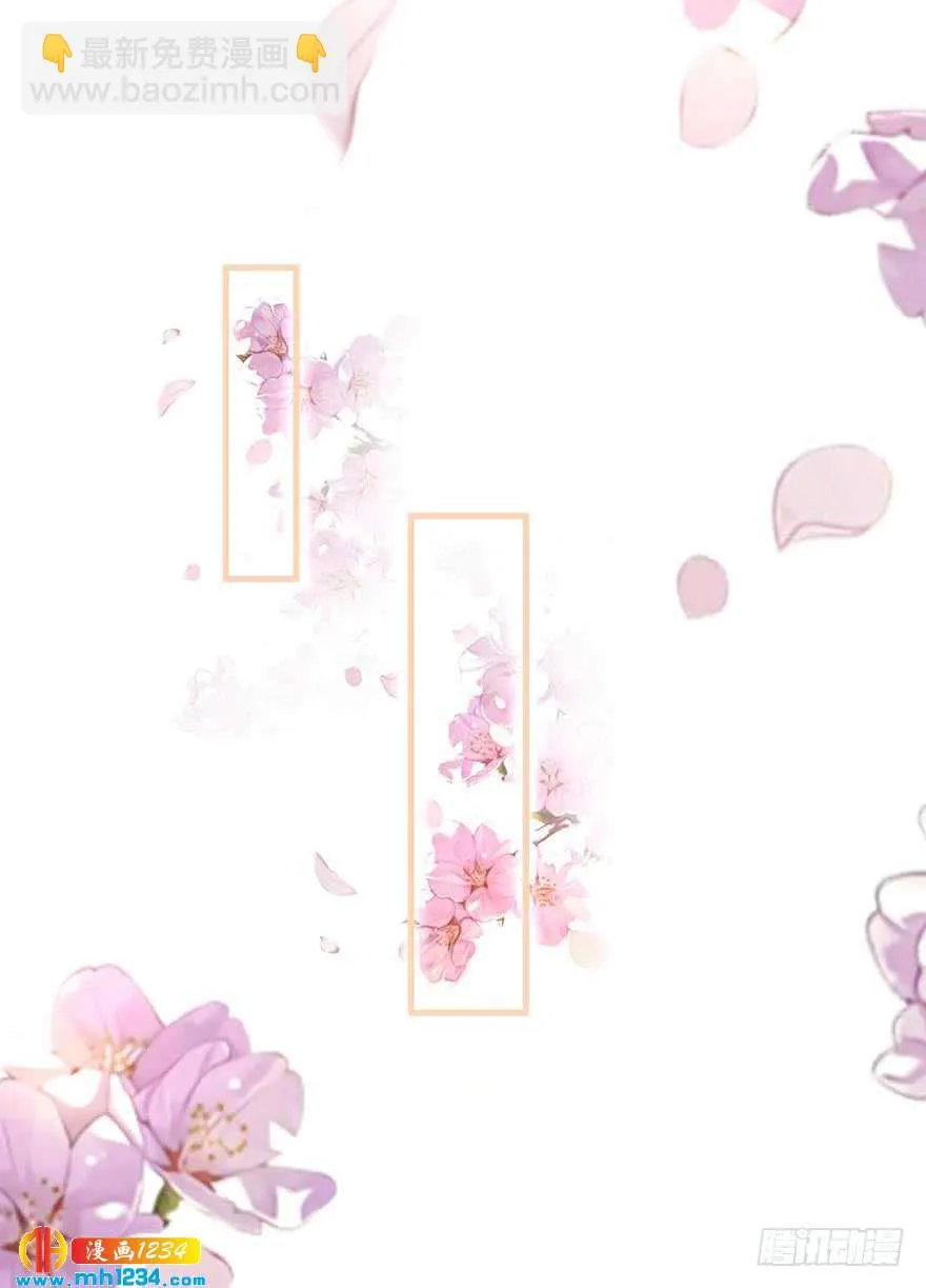 第15话 洗白白 第11页