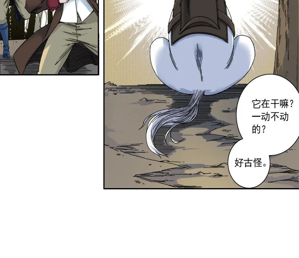 第162话 I'm gonna take my horse 第53页