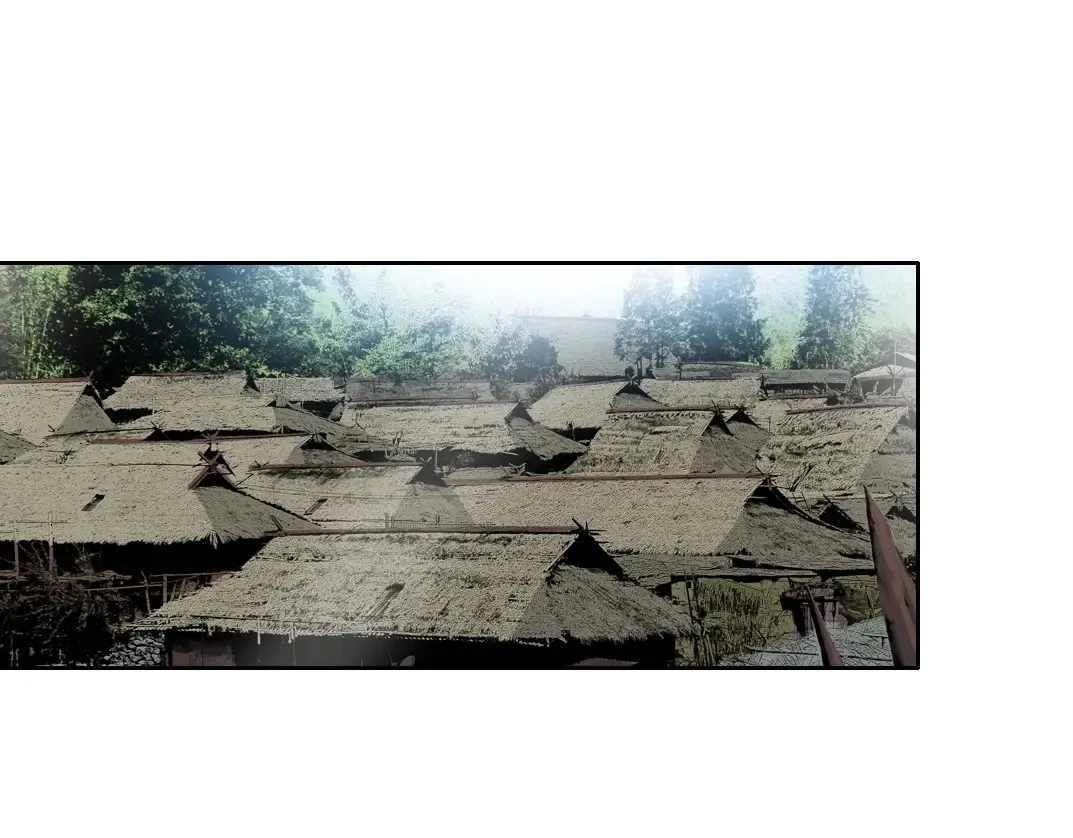 第260话 和平与合作 第13页