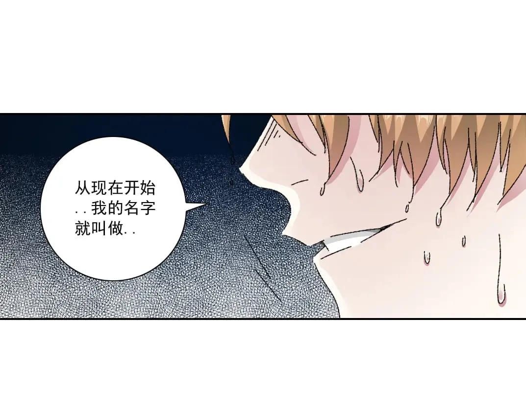 狸猫换太子 第42页