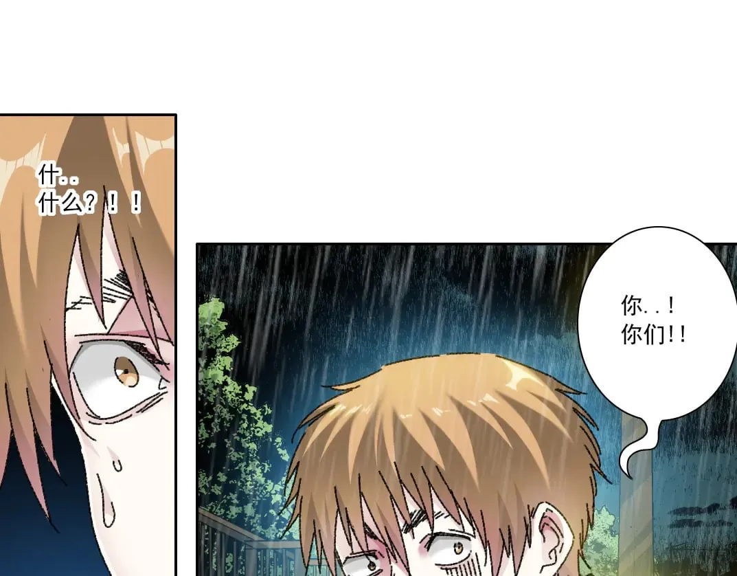 狸猫换太子 第63页