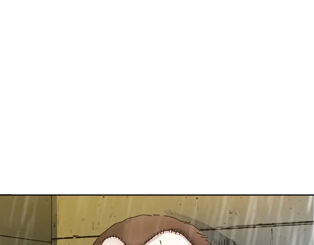 狸猫换太子 第76页