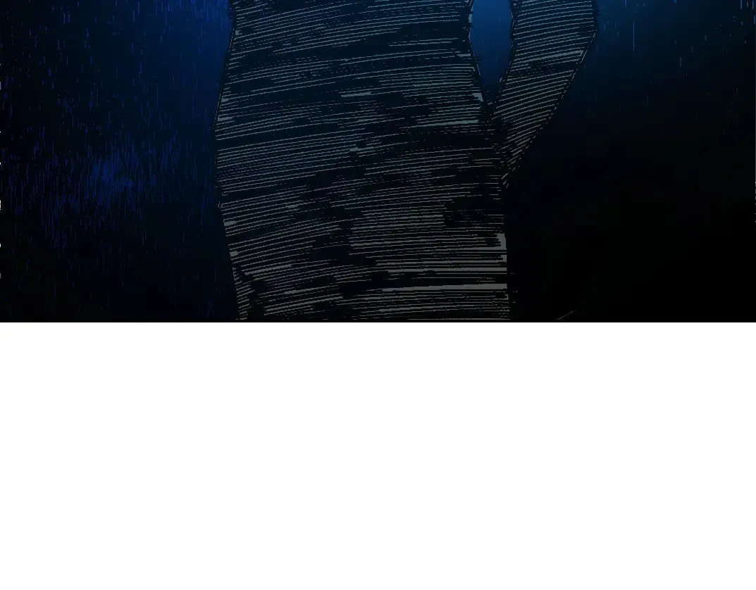 狸猫换太子 第81页