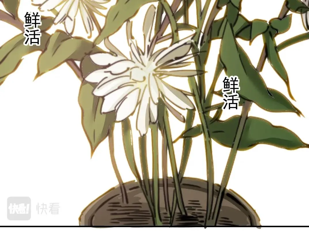 第36话 时间屋 第14页