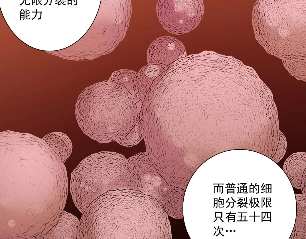 第43话 奇怪的组合出现了 第5页