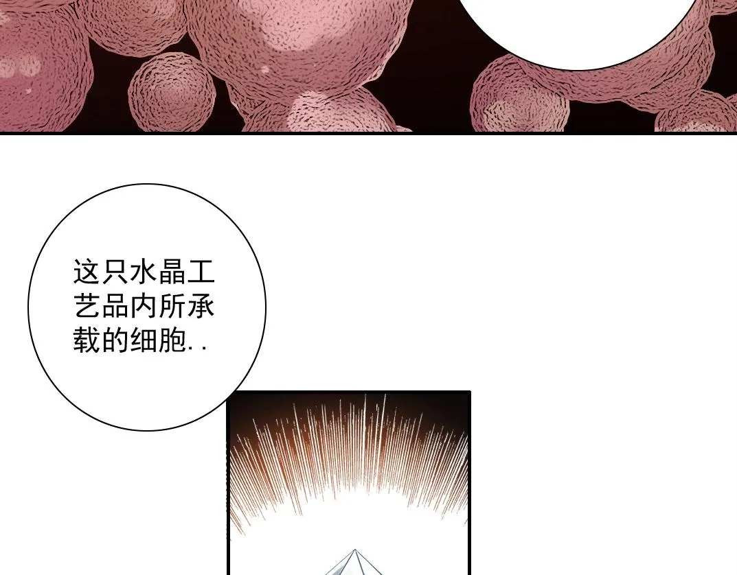 第43话 奇怪的组合出现了 第6页