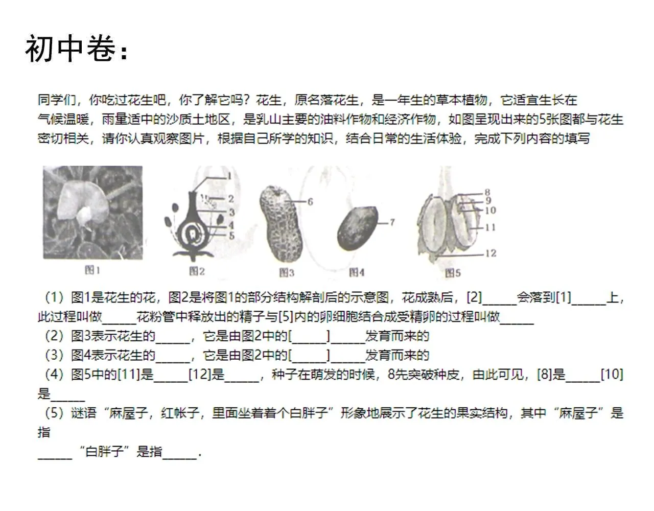 第130话 比特币 第118页