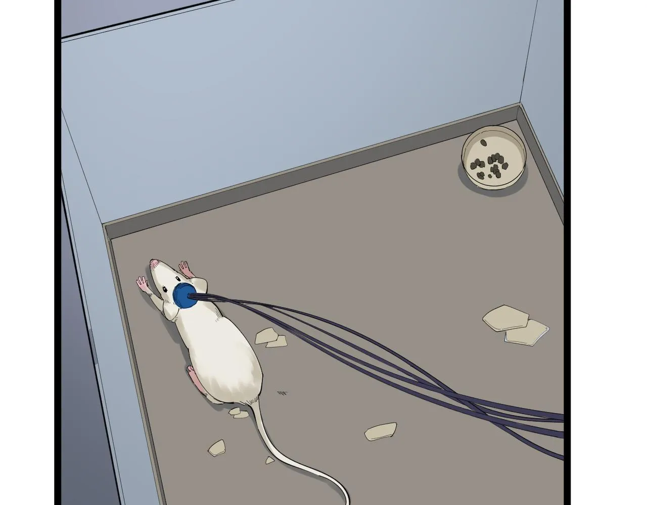 第192话老鼠实验 第13页