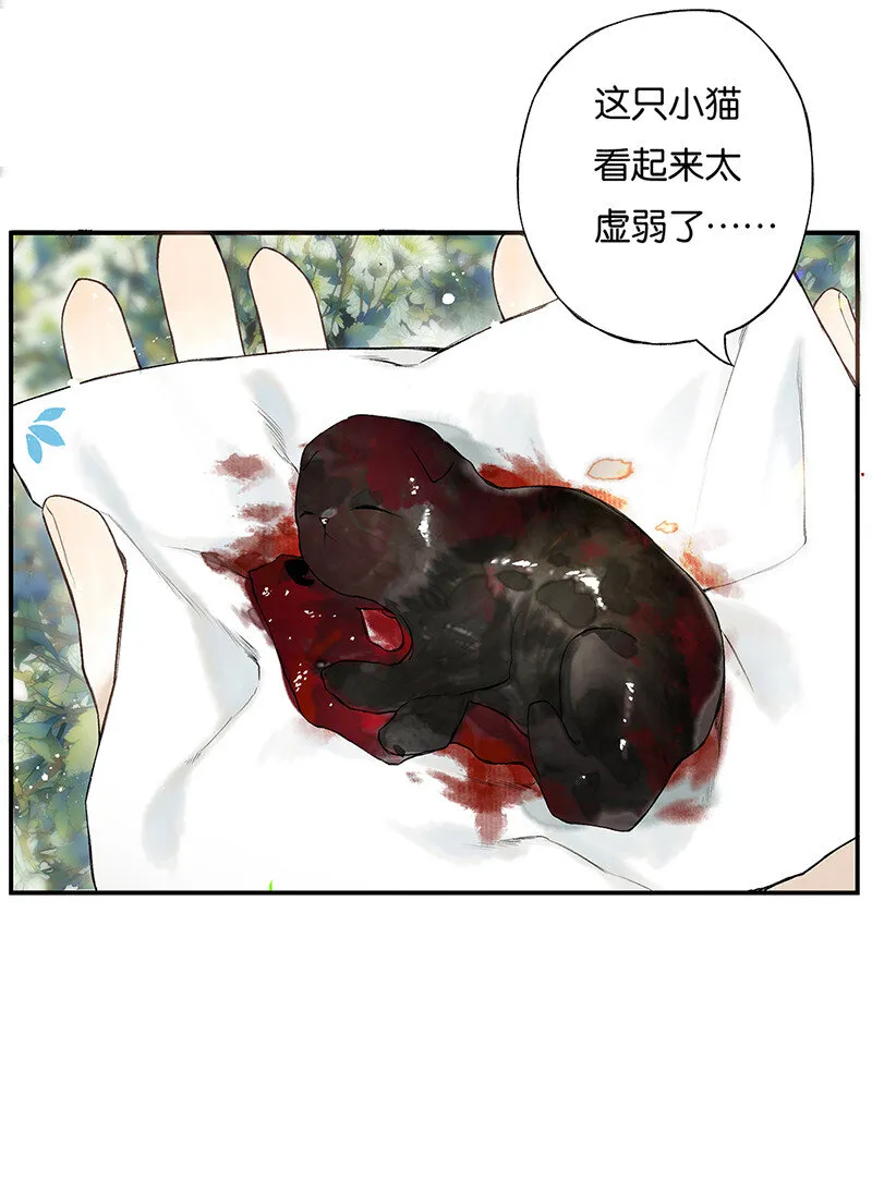027 花外有高楼 第14页
