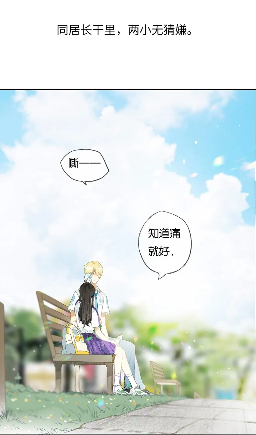 特别企划 榴花不及春一周年特别企划 第4页