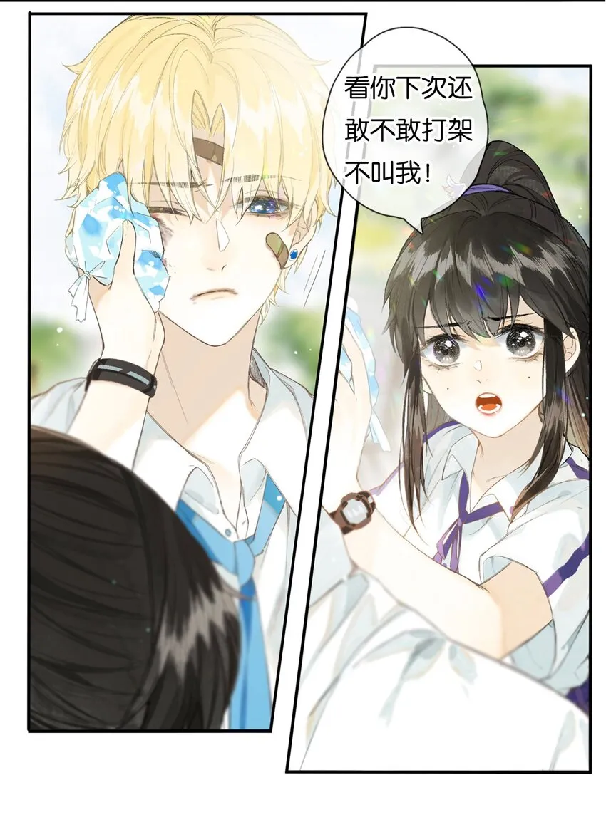 特别企划 榴花不及春一周年特别企划 第5页