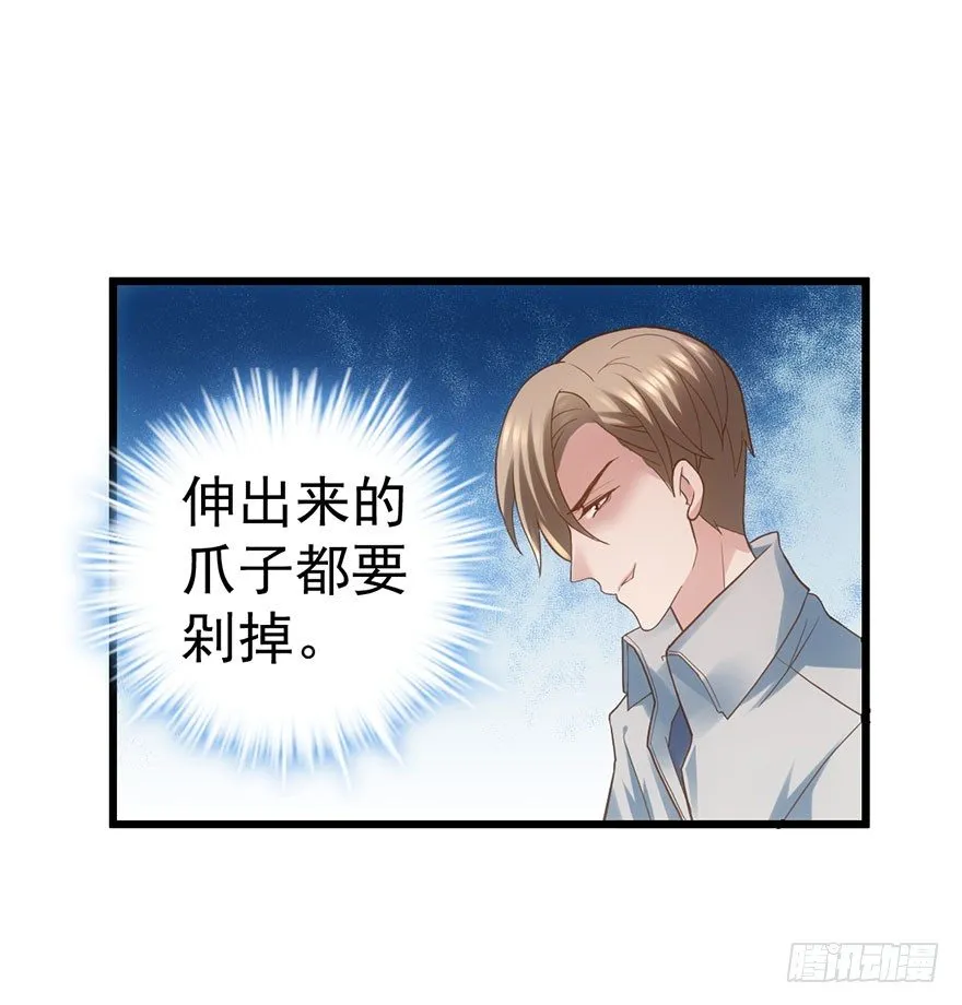 杜绝偷猫贼 第3页