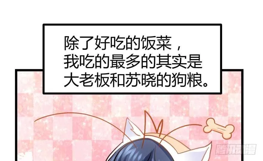 番外，苏晓的助理（完） 第11页