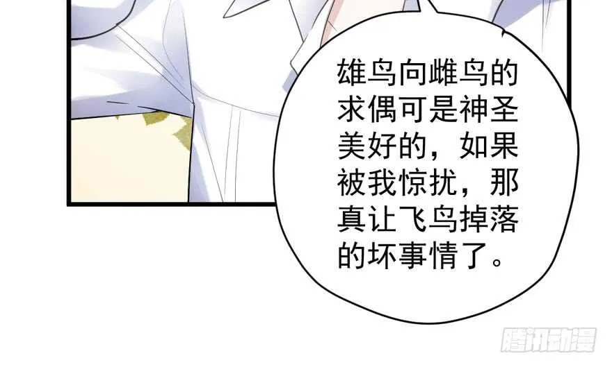 人形迫击炮 第45页