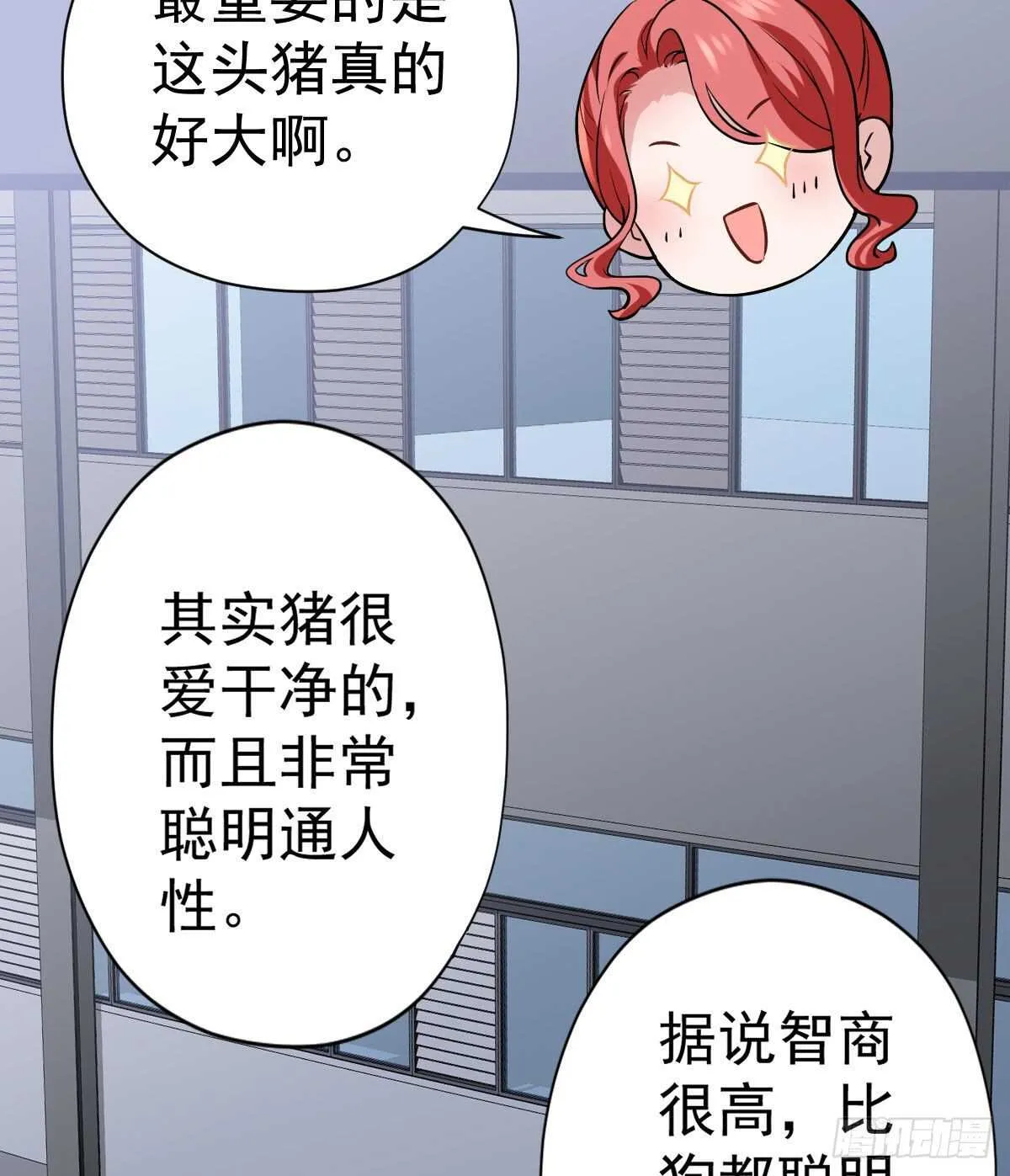 苏晓的新坐骑 第38页