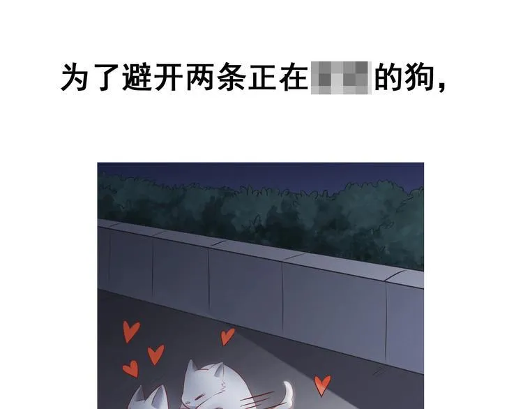 前情提要 第21页