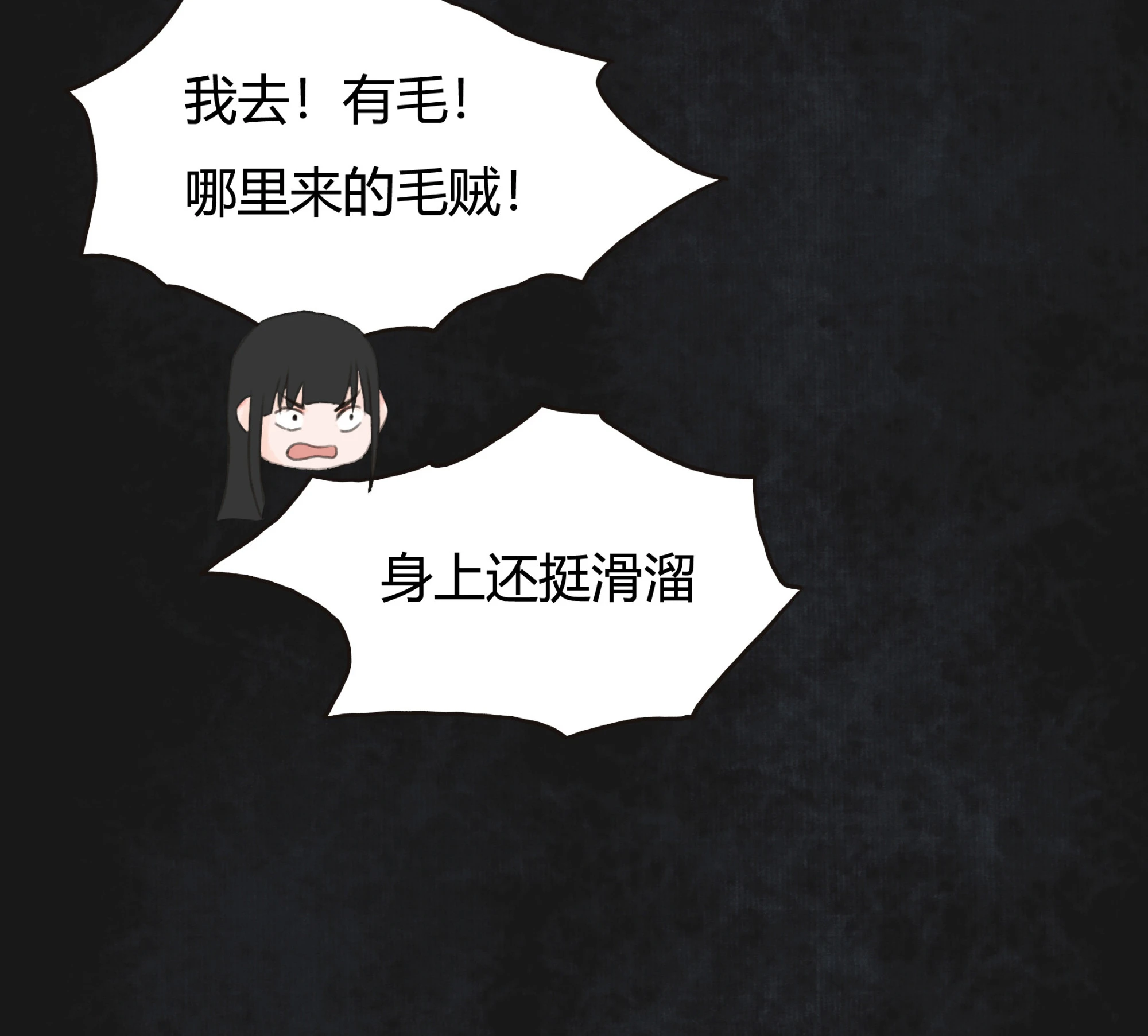 第四回 第13页