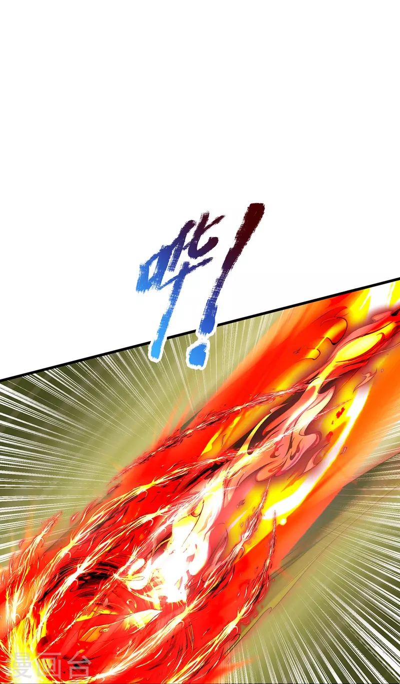 第100话 神秘强者 第14页
