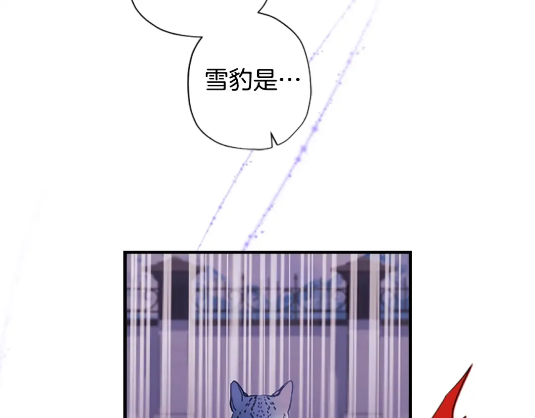 第49话 大猫 第137页