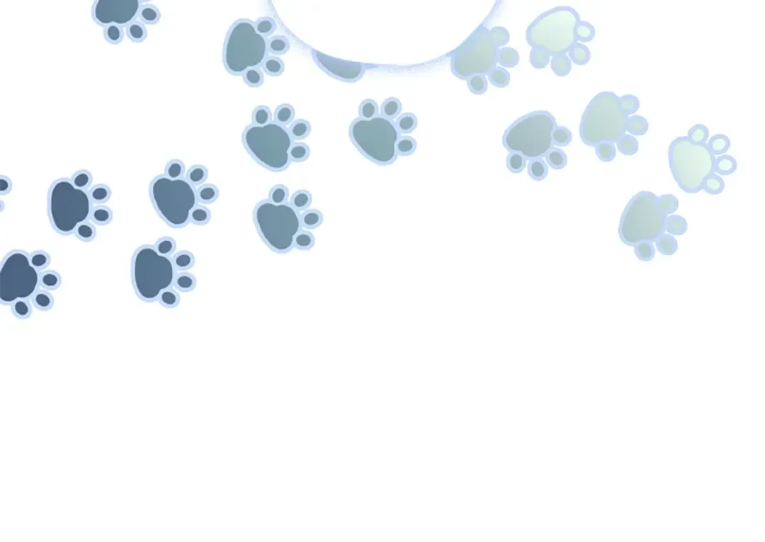 第49话 大猫 第153页
