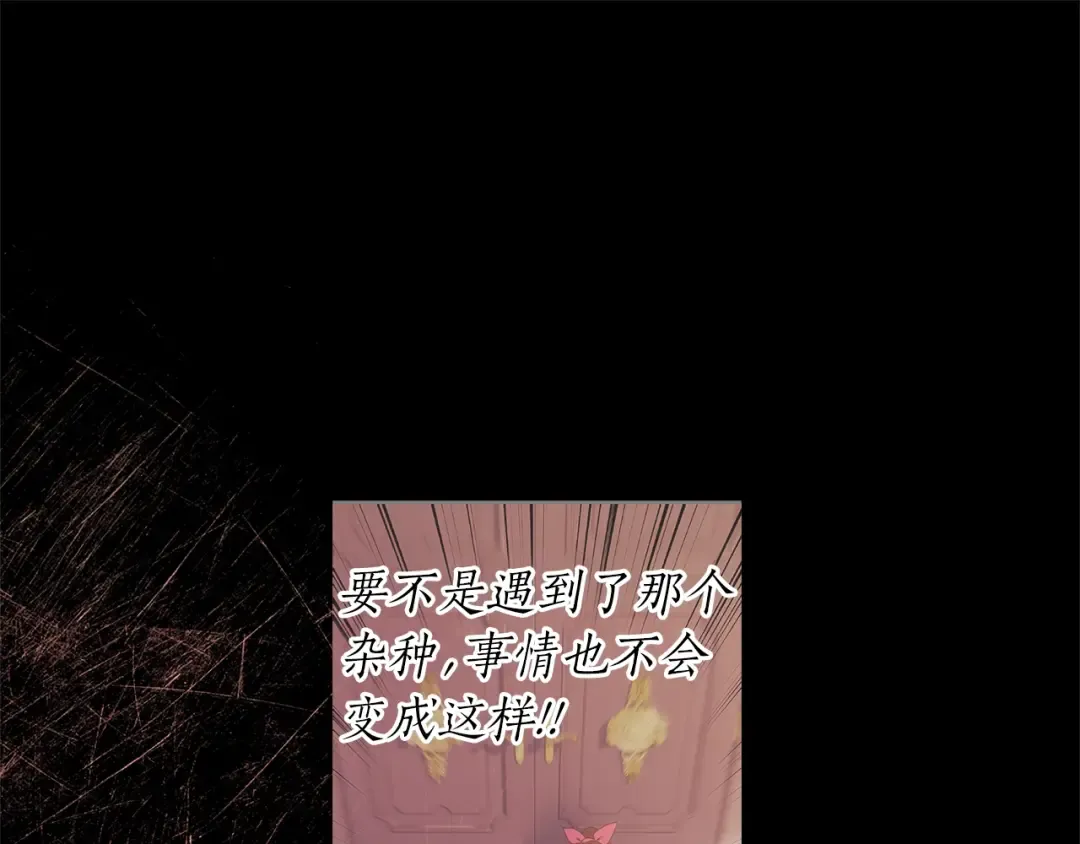 第51话 贵妇茶话会 第51页