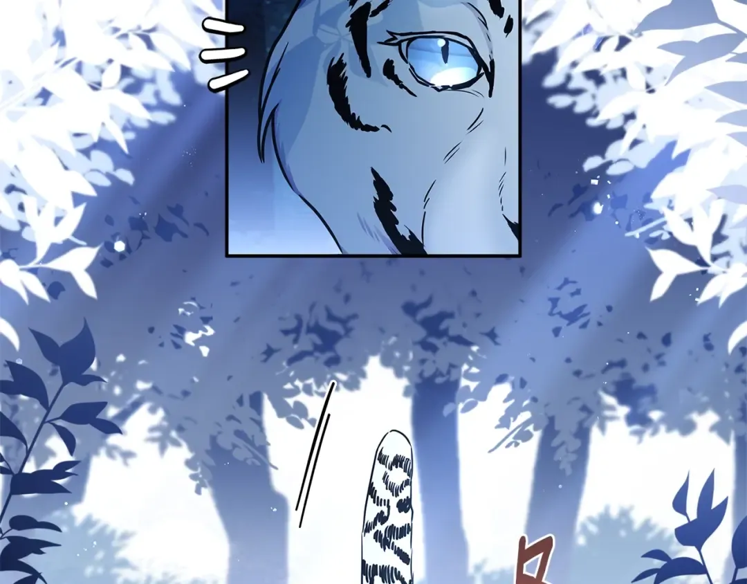 第57话 计划 第146页