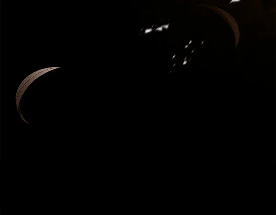 第148话 假作真时真亦假 第169页